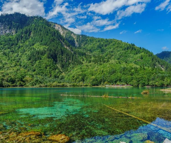 Jiuzhaigou,Western Sichuan,Chinatravel Scenic lake with turquoise water bordered by green forested mountains under a bright blue sky.