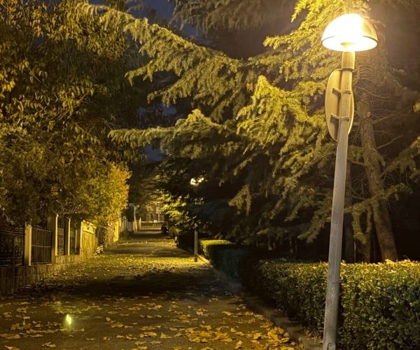 Badaguan Scenic Area,Qingdao,Chinatravel Nighttime street scene with a glowing streetlamp and autumn leaves on the sidewalk beside a hedge and trees.