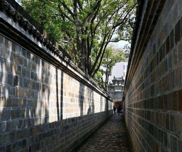 Liuchi Alley,Anqing,China tour Narrow stone-paved alley between tall grey brick walls, with green trees arching overhead and a distant gate.
