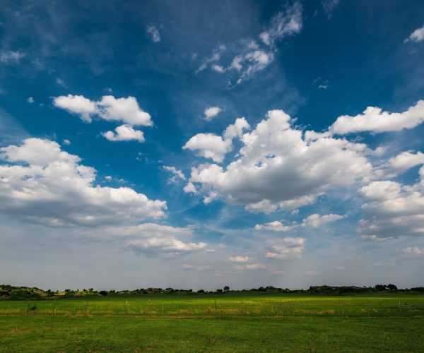 Inner Mongolia Weather,Inner Mongolia,China tour Open rural landscape: green field with a fence in the foreground and a blue sky filled with white clouds.