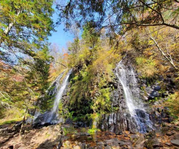 Wangtian'e Scenic Area,Baishan,Chinatrip Two narrow waterfalls cascade down a mossy rocky cliff surrounded by autumn forest under a blue sky, no people visible.