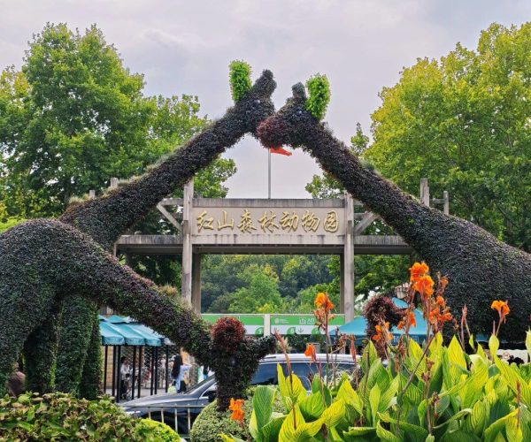 Nanjing Zoo,Nanjing,China tour Wooden zoo entrance framed by ivy-covered arches meeting at the top, with a Chinese sign and lush plants in the foreground.