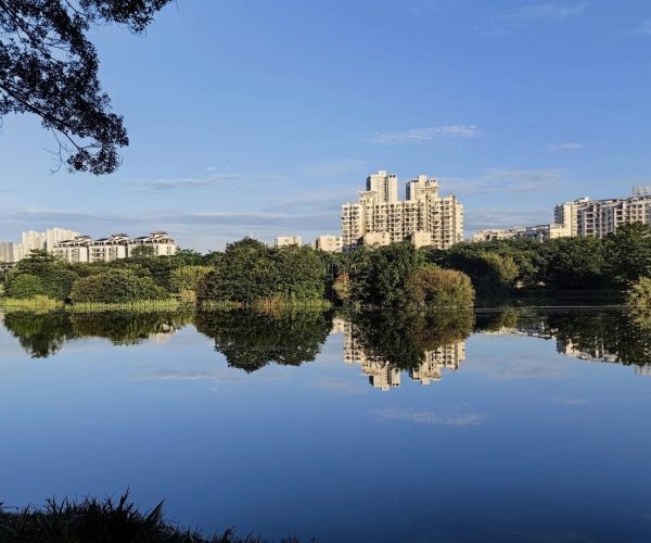Nanhu Lake Park,Nanning,Chinatravel Calm lake reflecting green trees and beige apartment buildings under a blue sky.
