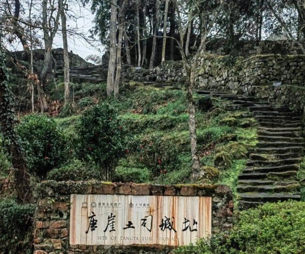Tusi Castle of Enshi,Enshi,Chinatravel Stone sign at garden entrance reading 'Site of Tangya Tusi Domain' with stone wall, moss, and stone steps in a wooded landscape.