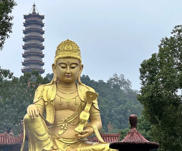 Sheng'an Temple,Yueyang,Chinatravel Large gold Buddha statue seated in meditation within a temple, with a pagoda and trees in the background.