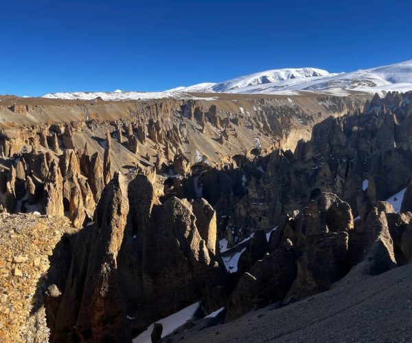 Qilin Gorge,Shigatse,China tour jagged pinnacles of volcanic rock form a deep canyon under a clear blue sky with snow-capped mountains in the distance