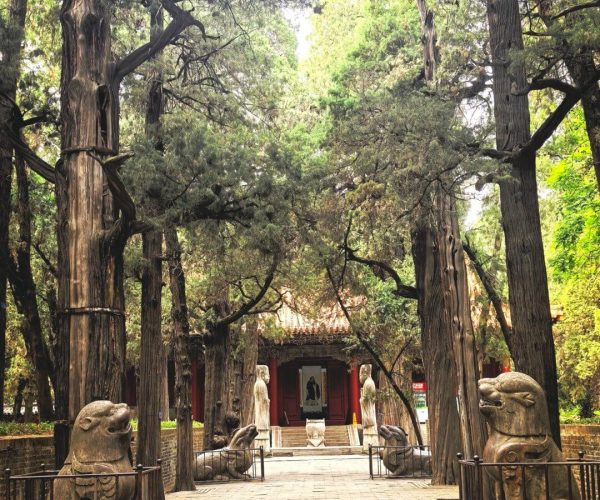 Confucius Forest (Cemetery),Qufu,China tour Stone guardian lions flank a stone-paved path leading to a traditional temple gate, shaded by tall trees.