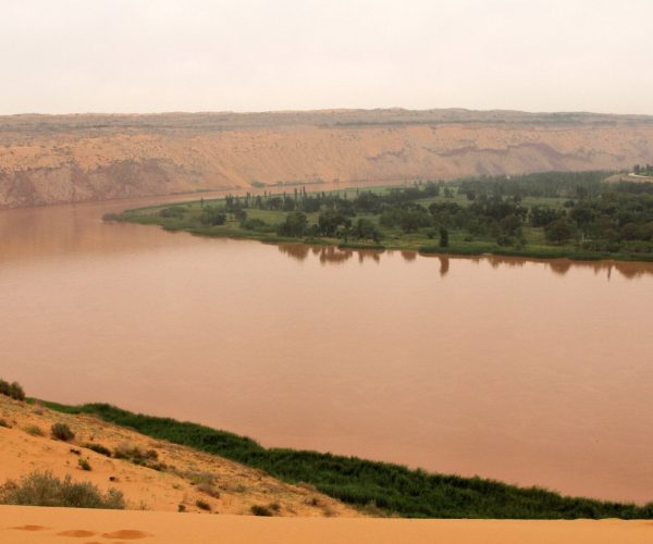 Ningxia,China tour Brown river winding through an arid desert with a green, tree-dotted island and sandy cliffs in the distance.