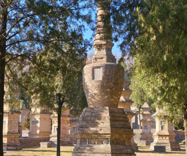 Shaolin Temple Pagoda Forest,Shaolin & Songshan Area,Chinatrip Ancient stone pagoda monument in a park-like cemetery, surrounded by other brick stupas and green trees under a blue sky.