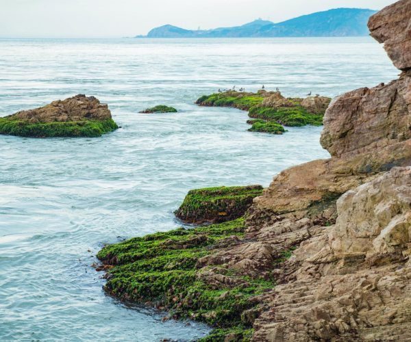 Shandong Weather,Shandong,China tour Rocky coastline with green moss on the rocks and calm blue sea extending to distant headlands on the horizon.