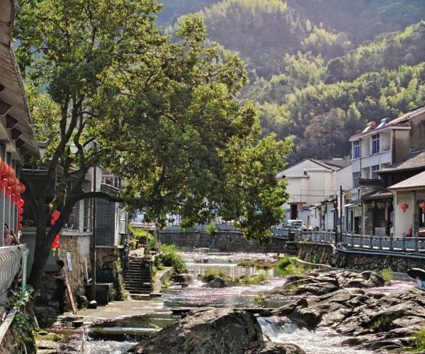 Yantou Ancient Village,Wenzhou,Chinatravel A small river runs through a stone-lined village street with houses, a large tree, and green hills in the background, under a blue sky.