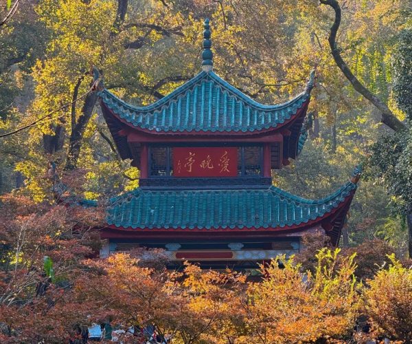 Yuelu Mountain Park,Changsha,Chinatravel Traditional Chinese pavilion with turquoise tiled roofs in a autumn forest, visitors gathered around at the base.