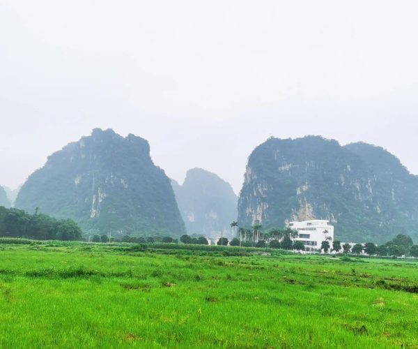 Gunangdong Weather, Guangdong,Chinatravel Lush green fields stretch toward towering limestone karst mountains with a white building and palm trees at their base.