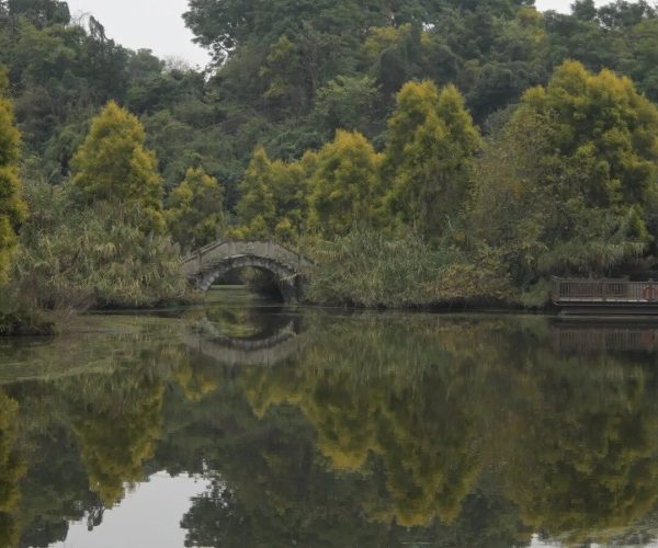 Zhangba Longan Forest,Luzhou,Chinatravel Tower on a hill surrounded by trees, reflected in a calm lake with an arched stone bridge in the foreground