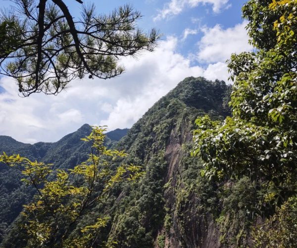 Mount Daiyun Scenic Area,Zhangzhou,Chinatravel Mountain valley with steep, forested cliffs under a blue sky with scattered clouds; pine branches frame the scene on top and leafy plants in the foreground.