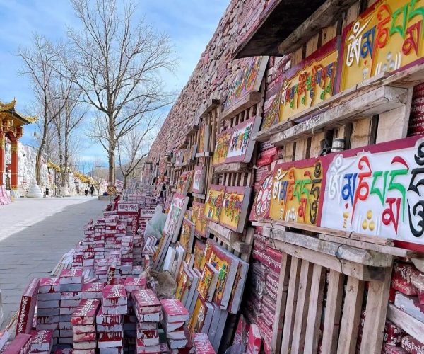 Gyanak Mani Stone Mound,Yushu,China tour Rows of colorful wooden boards with Tibetan script stacked along a sunlit street beside a brick wall and bare trees.
