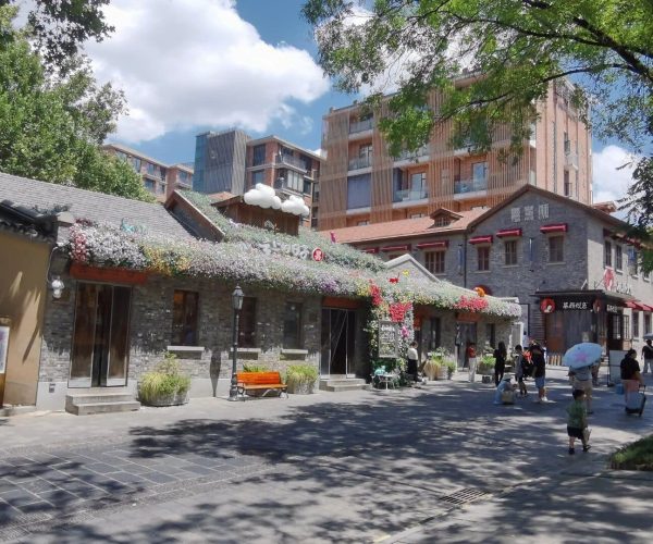 Tanhualin Old Street,Wuhan,Chinatravel A sunny street lined with gray stone shops covered in flowering vines, with people strolling and a modern building behind.