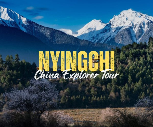 Nyingchi,Tibet,China tour Snowy mountain range with a pine forest below; bold yellow 'NYNGCHI' and white cursive 'China Explorer Tour' across the scene.