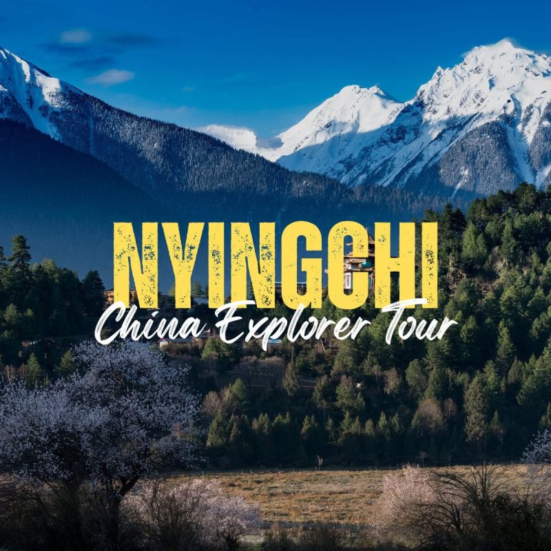 Nyingchi,Tibet,China tour Snowy mountain range with a pine forest below; bold yellow 'NYNGCHI' and white cursive 'China Explorer Tour' across the scene.