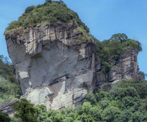 Wuyi Mountain UNESCO Site,Nanping,Chinatravel Massive limestone cliff with sparse trees on top, surrounded by dense green forest under a clear blue sky