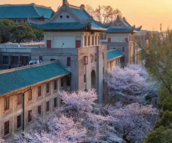 Wuhan University Cherry Avenue,Wuhan,Chinatravel Sunset over a Chinese architectural complex with blue-tiled roofs and cherry blossoms along a street.