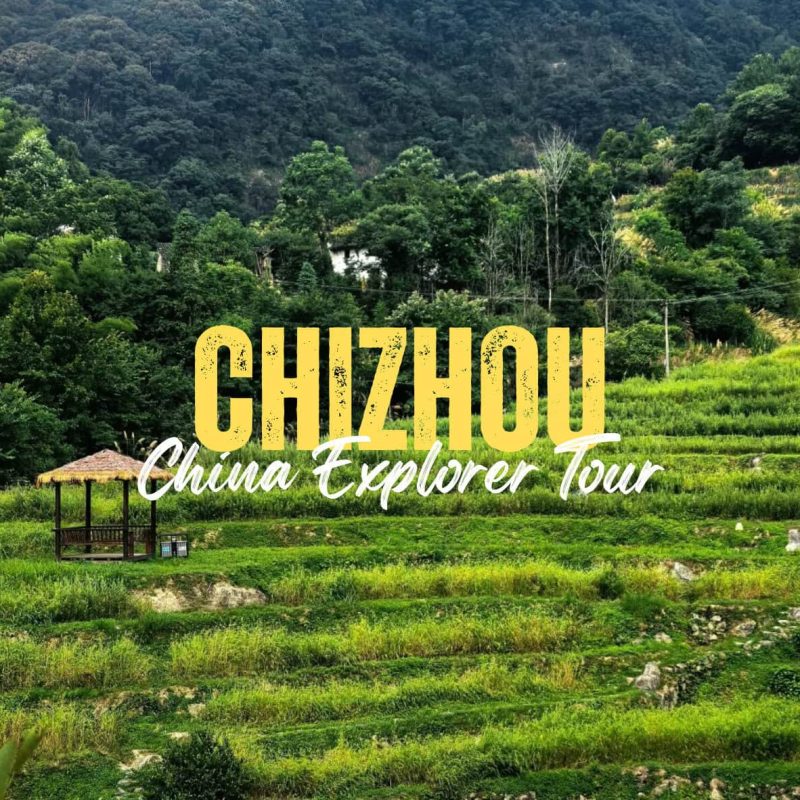 Chizhou,Anhui,China tour Terraced green fields with a small gazebo and bold yellow 'CHIZHOU' tour branding overlay: 'China Explorer Tour'