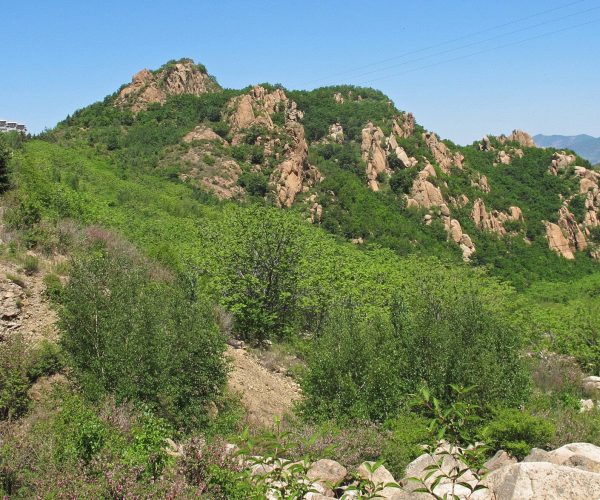 Hebei Weather,Hebei,China tour Rocky hill with jagged rock formations and dense green trees under a clear blue sky.
