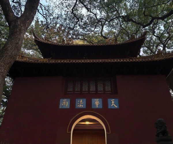 Fayu Temple,Zhoushan,Chinatravel Red traditional Chinese gate with a curved tiled roof, framed by large tree branches; blue plaques with gold Chinese characters above a warmly lit arched doorway revealing an interior space.