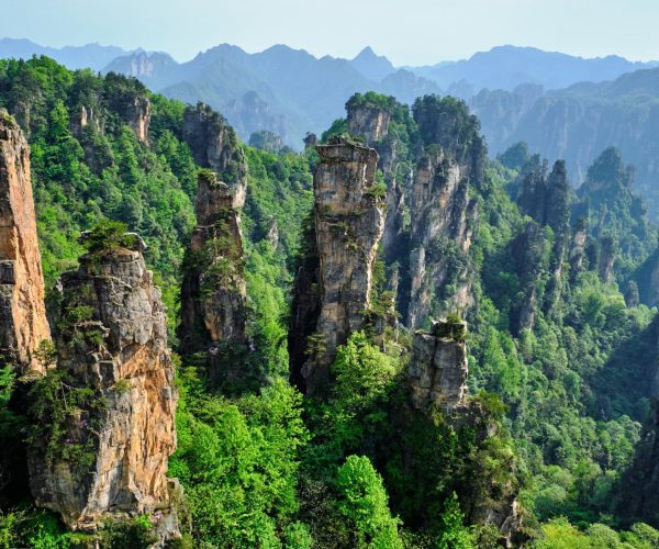 Hunan Weather,Hunan,Chinatrip Towering sandstone pillars rise from a lush green forest in a dramatic mountain landscape.