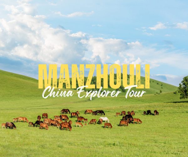 Manzhouli,Inner Mongolia,China tour Promotional banner on a grassy hillside: bold yellow 'MANZHOUOLI' with white 'China Explorer Tour' text over a herd of horses. ``Yes``