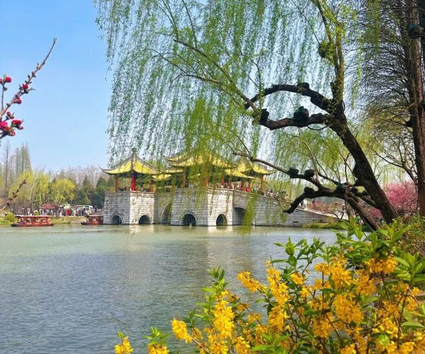 Slender West Lake,Yangzhou,China tour Traditional pavilion on a stone bridge over a calm lake, framed by weeping willows and yellow flowers in a sunny park