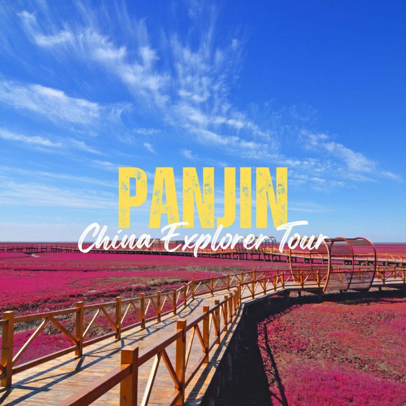 Panjin,Liaoning,China tour Promotional banner: a wooden boardwalk through pink fields under a blue sky, with bold yellow 'PANDIN' and white script 'China Explorer Tour' text.