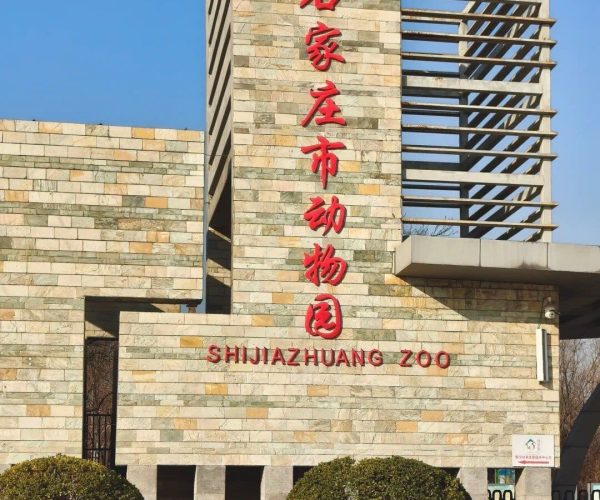 Shijiazhuang Zoo ,Shijiazhuang,China tour Entrance of Shijiazhuang Zoo with stone façade and red Chinese characters, 'SHIJIAZHUANG ZOO' signage below, a child in a pink coat walking toward the entrance.
