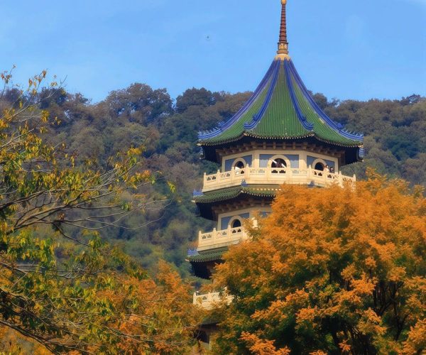Purple Mountain (Zijin Shan) Scenic Area,Nanjing,China tour Three-tier pagoda with a green-tiled roof rises above orange autumn trees under a clear blue sky in a park setting
