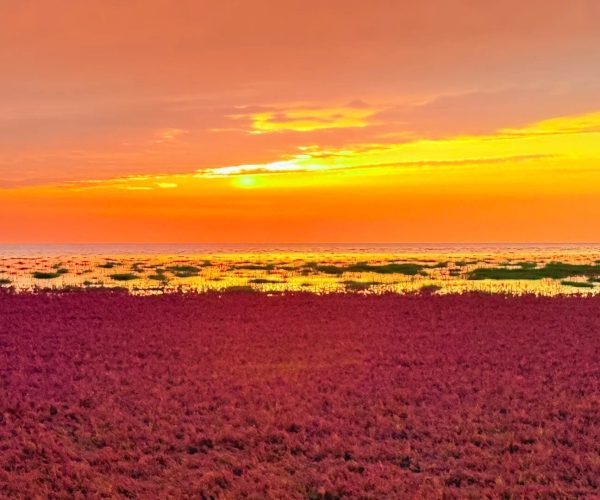 Red Beach National Scenic Corridor,Panjin,China tour Sunset over a rocky beach with a dark purple foreground, orange sky, and reflective water with patches of marshy green vegetation.