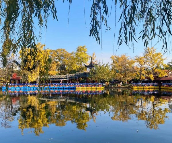 Green Lake Park,Kunming,Chinatravel Willow branches frame a tranquil lake with yellow trees and a traditional pavilion, colorful boats moored along the shore.