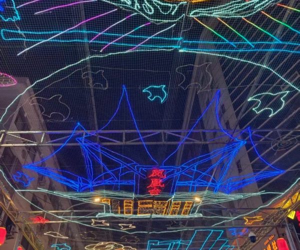 Mojia Subdistrict Night Market,Xining,Chinatrip Night view of a street adorned with colorful neon light displays and red lanterns along the sides, creating a festive glow overhead.