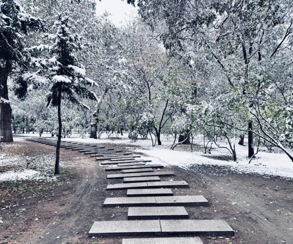 Daqing Saertu Forest Park,Daqing,Chinatravel Snow-covered park path with square stepping stones winding through snow-dusted trees in winter.