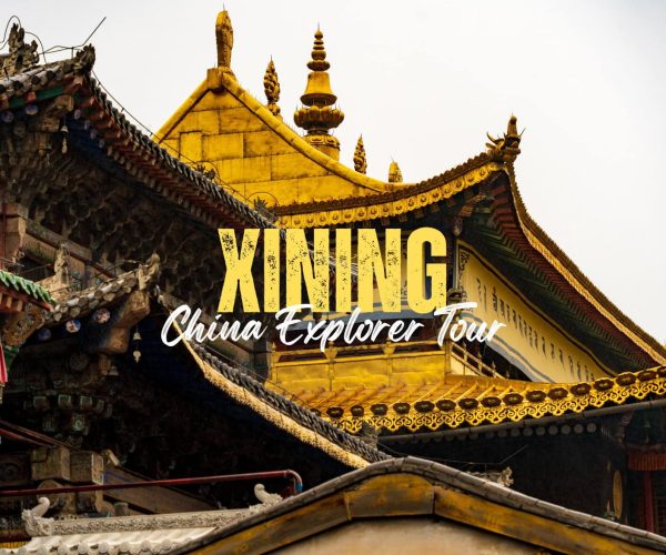 Xining,Qinghai,China tour Promotional banner for 'KING China Explorer Tour' over golden temple rooftops in a Chinese historic complex.