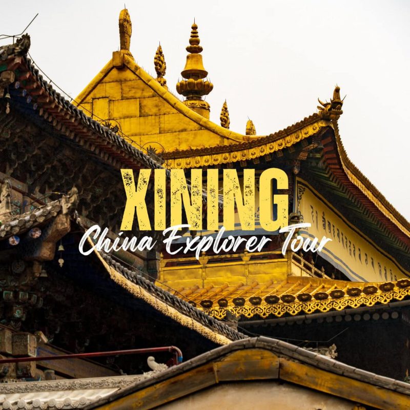 Xining,Qinghai,China tour Promotional banner for 'KING China Explorer Tour' over golden temple rooftops in a Chinese historic complex.