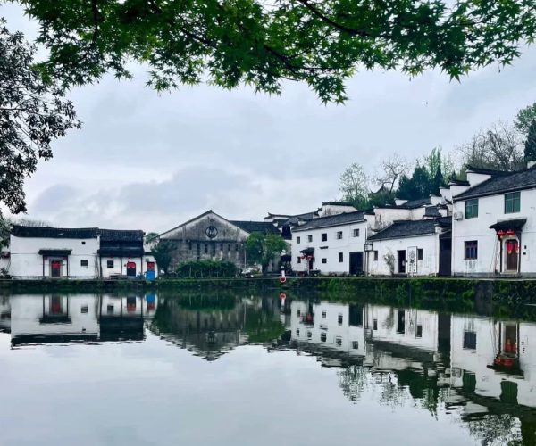 Zhuge Bagua Village,Zhejiang,Chinatravel White-walled houses line a calm canal with overhanging green branches framing the scene, reflected in the water.