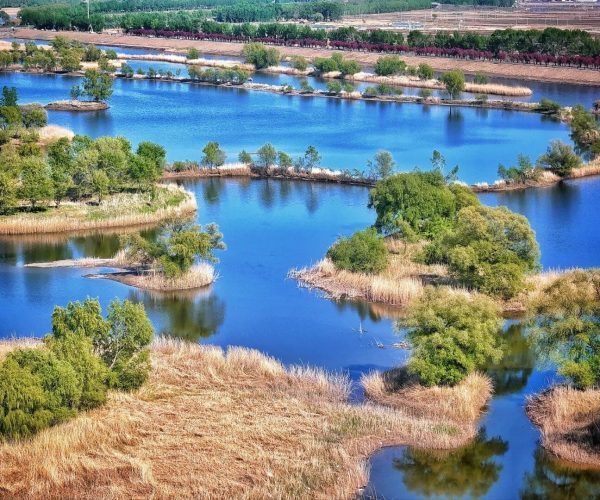 Liaohe River Delta Wetlands,Panjin,China tour Blue lake with small tree-covered islands and dry brown grasses along the shore (wetland landscape).