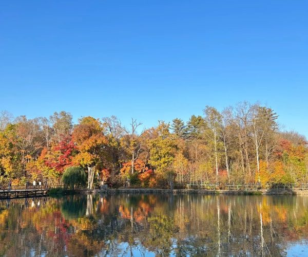 Lushuihe National Forest Park,Baishan,Chinatrip Calm lake surrounded by autumn trees in reds, oranges, and yellows, mirroring on the water under a clear blue sky teeming with reflections.