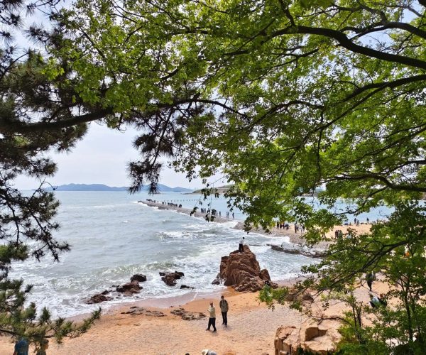 Qingdao Beach Belt ,Qingdao,Chinatravel Greenery frames a rocky beach with people along the shore and a calm sea beyond, under a bright sky.