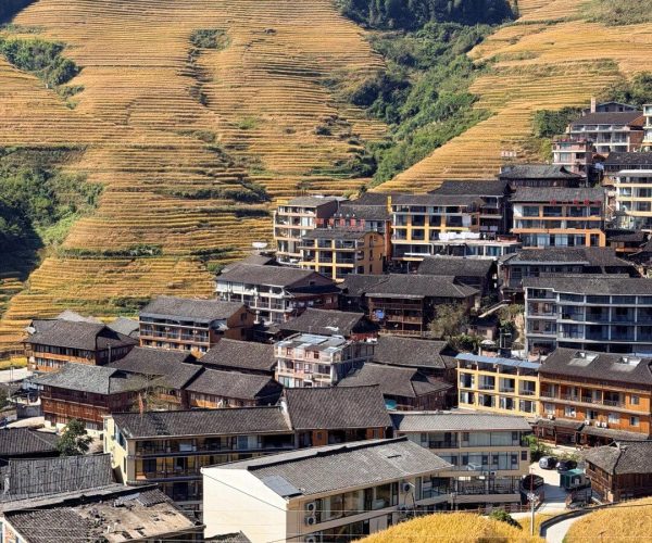 Longji Rice Terraces,Guilin,Chinatravel Terraced golden fields on a hillside overlooking a cluster of dark-roofed buildings in a valley.