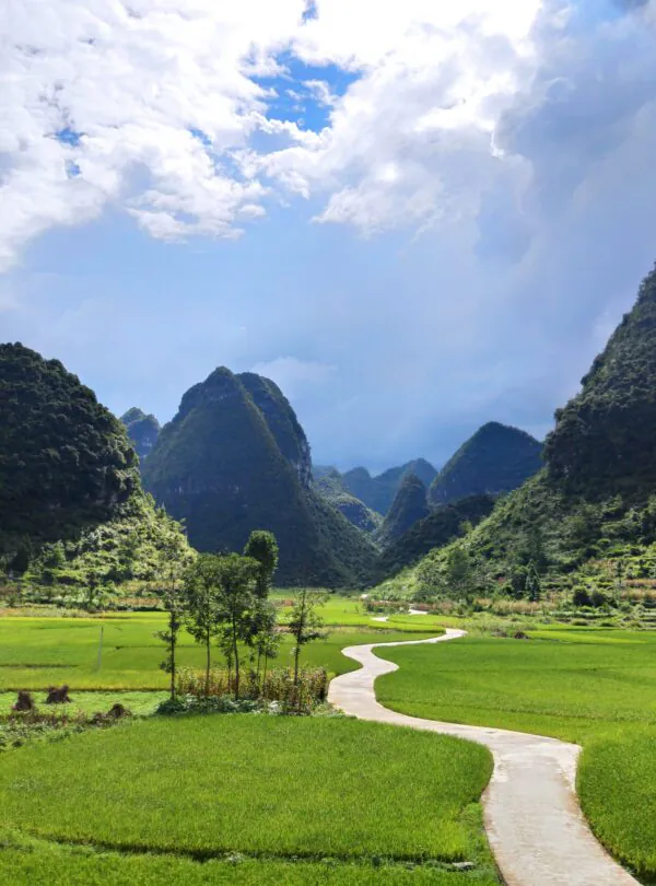 Guizhou, Chinatrip, Green valley with rice fields and a winding concrete path leading toward dramatic, tree-covered karst mountains under a partly cloudy sky
