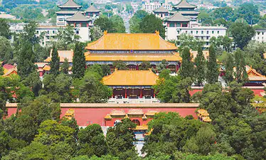 the forbidden city, Beijing, chinatravel, Aerial view of Beijing's Forbidden City with orange tiled roofs and surrounding trees.