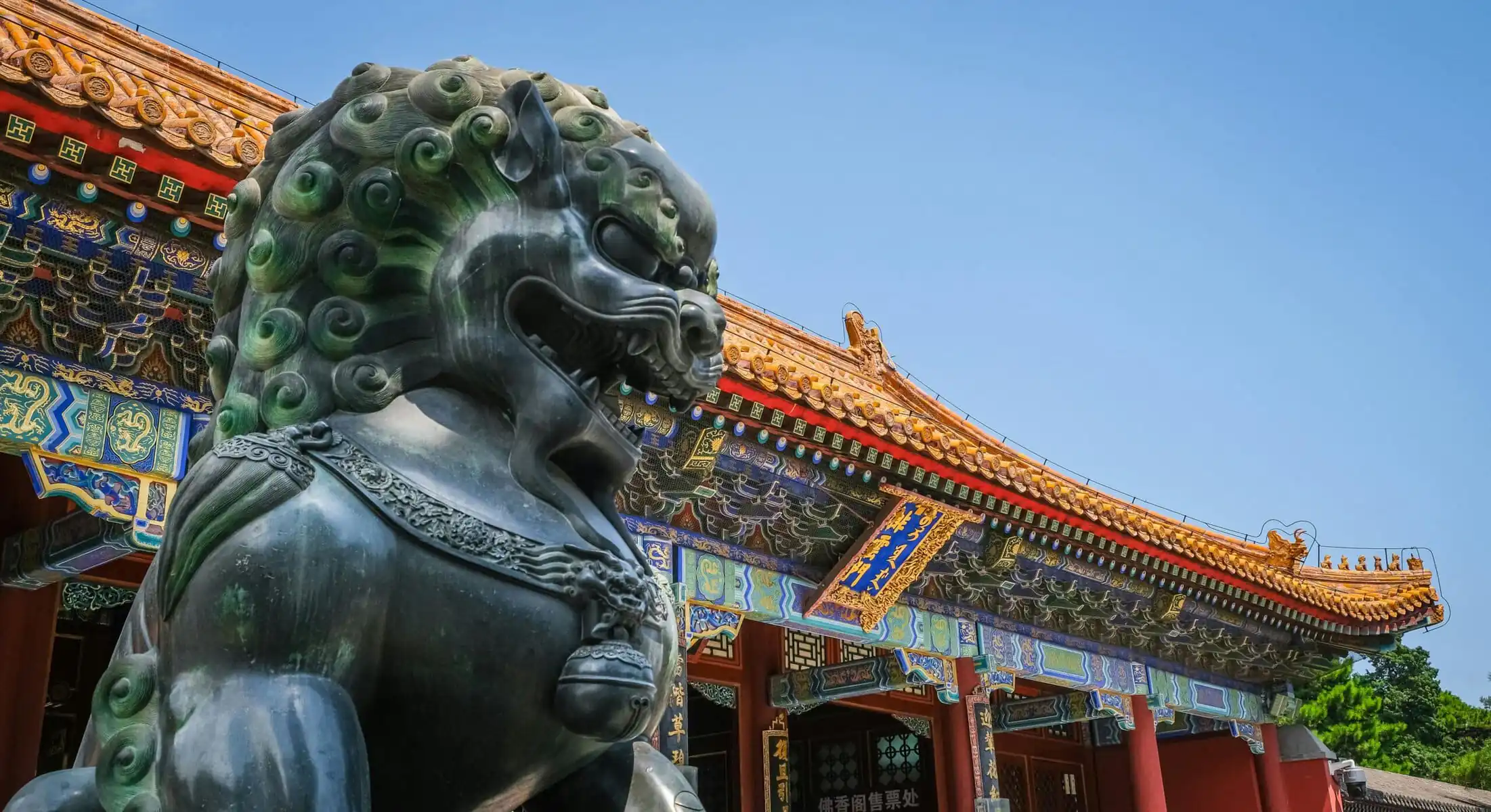 Forbidden City, Beijing, Chinatravel, Bronze guardian lion statue in front of a traditional Chinese temple with ornate, colorful roof tiles against a clear blue sky.