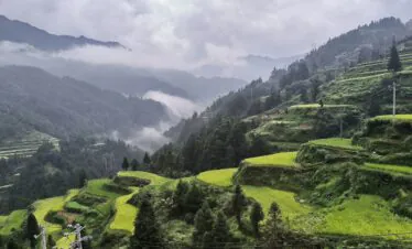14-Day China Cultural Odyssey: From Iconic Landmarks to Hidden Gems, china, china tour, Terraced green rice fields on a foggy mountain hillside with mist between valleys.