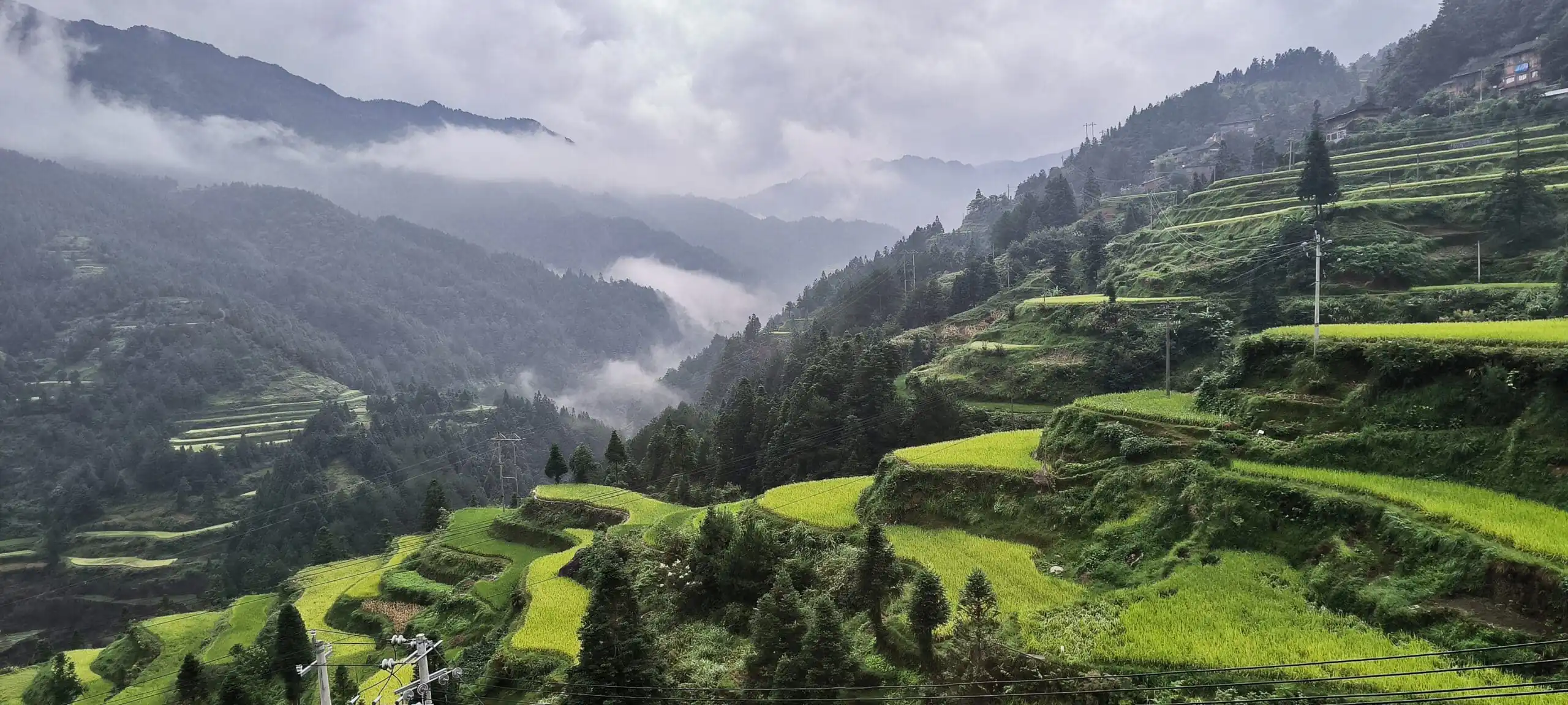 14-Day China Cultural Odyssey: From Iconic Landmarks to Hidden Gems, china, china tour, Terraced green rice fields on a foggy mountain hillside with mist between valleys.